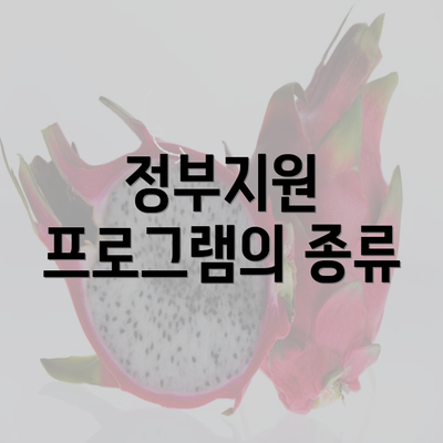 정부지원 프로그램의 종류