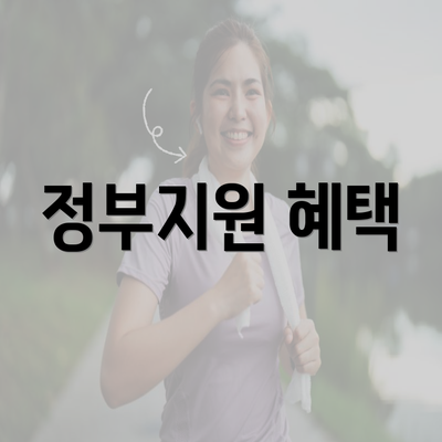 정부지원 혜택