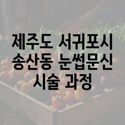 제주도 서귀포시 송산동 눈썹문신 시술 과정