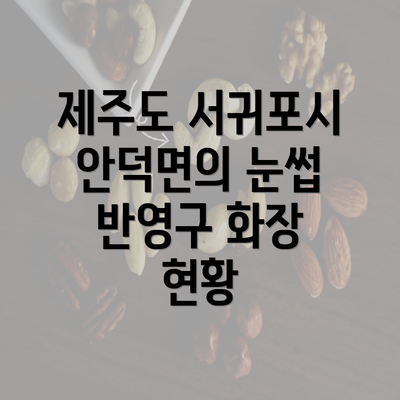 제주도 서귀포시 안덕면의 눈썹 반영구 화장 현황