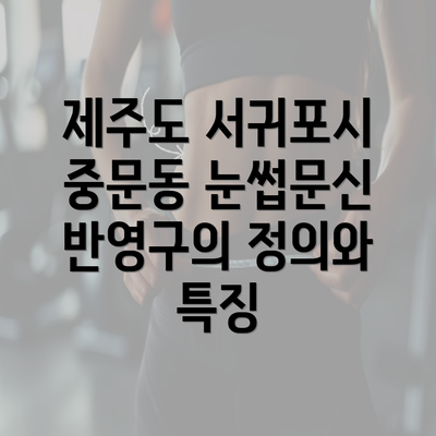 제주도 서귀포시 중문동 눈썹문신 반영구의 정의와 특징