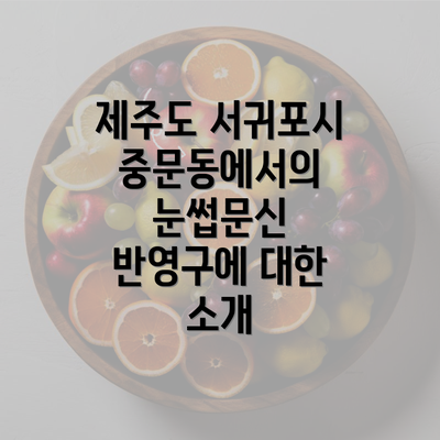 제주도 서귀포시 중문동에서의 눈썹문신 반영구에 대한 소개