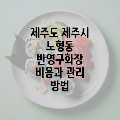 제주도 제주시 노형동 반영구화장 비용과 관리 방법