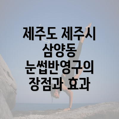 제주도 제주시 삼양동 눈썹반영구의 장점과 효과