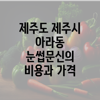 제주도 제주시 아라동 눈썹문신의 비용과 가격