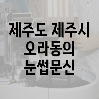 제주도 제주시 오라동의 눈썹문신