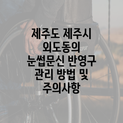 제주도 제주시 외도동의 눈썹문신 반영구 관리 방법 및 주의사항