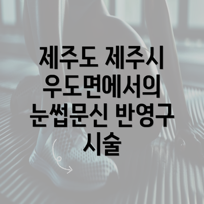 제주도 제주시 우도면에서의 눈썹문신 반영구 시술