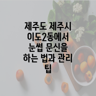 제주도 제주시 이도2동에서 눈썹 문신을 하는 법과 관리 팁