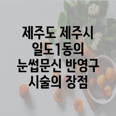 제주도 제주시 일도1동의 눈썹문신 반영구 시술의 장점