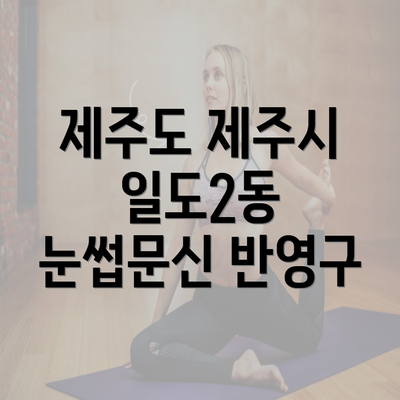 제주도 제주시 일도2동 눈썹문신 반영구