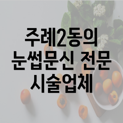 주례2동의 눈썹문신 전문 시술업체