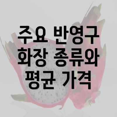 주요 반영구 화장 종류와 평균 가격