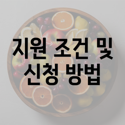 지원 조건 및 신청 방법