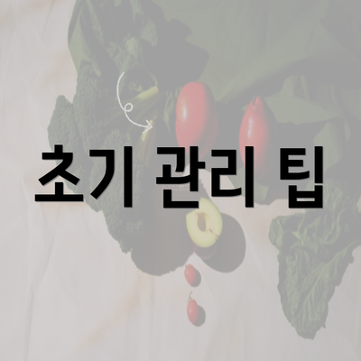 초기 관리 팁