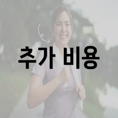 추가 비용