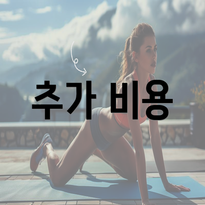 추가 비용