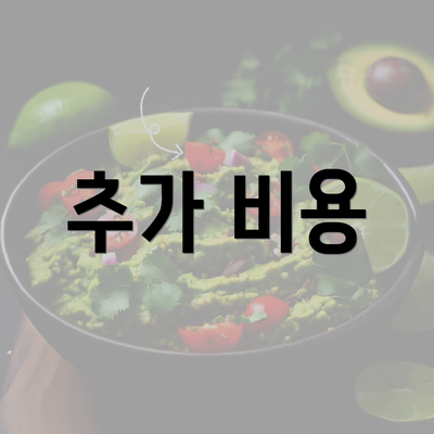 추가 비용