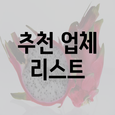 추천 업체 리스트