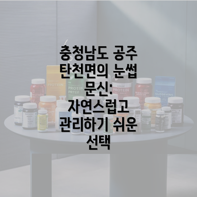 충청남도 공주 탄천면의 눈썹 문신: 자연스럽고 관리하기 쉬운 선택