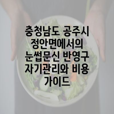 충청남도 공주시 정안면에서의 눈썹문신 반영구 자기관리와 비용 가이드