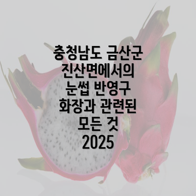 충청남도 금산군 진산면에서의 눈썹 반영구 화장과 관련된 모든 것 2025