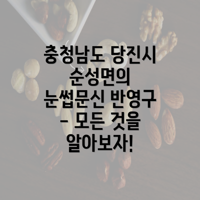 충청남도 당진시 순성면의 눈썹문신 반영구 - 모든 것을 알아보자!