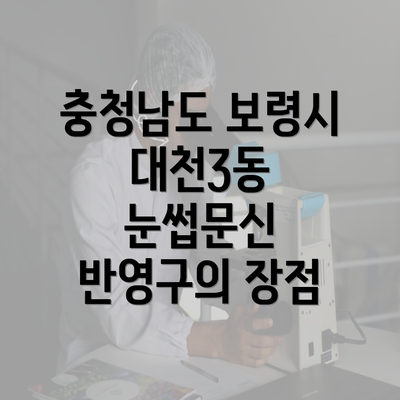 충청남도 보령시 대천3동 눈썹문신 반영구의 장점