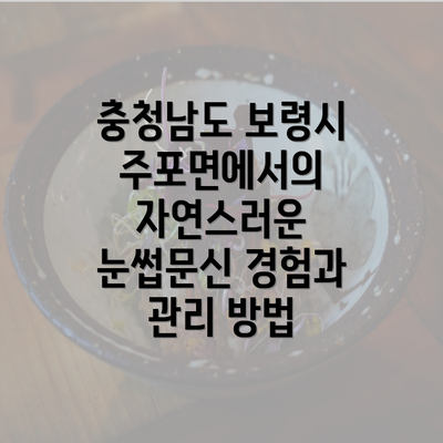 충청남도 보령시 주포면에서의 자연스러운 눈썹문신 경험과 관리 방법