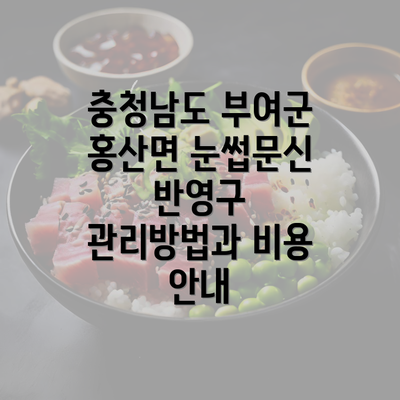 충청남도 부여군 홍산면 눈썹문신 반영구 관리방법과 비용 안내