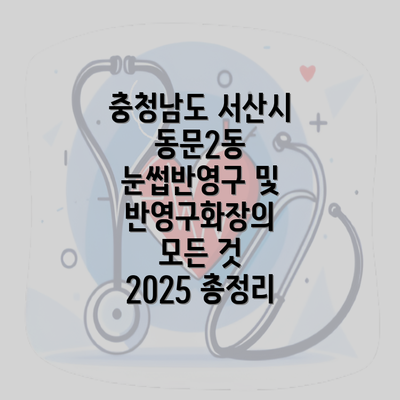 충청남도 서산시 동문2동 눈썹반영구 및 반영구화장의 모든 것 2025 총정리