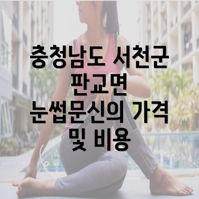 충청남도 서천군 판교면 눈썹문신의 가격 및 비용