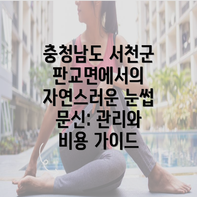 충청남도 서천군 판교면에서의 자연스러운 눈썹 문신: 관리와 비용 가이드