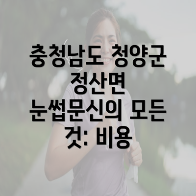 충청남도 청양군 정산면 눈썹문신의 모든 것: 비용