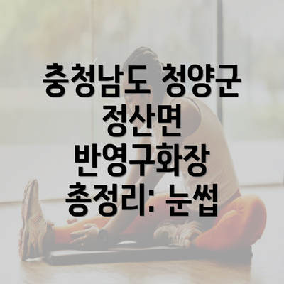 충청남도 청양군 정산면 반영구화장 총정리: 눈썹