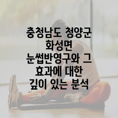 충청남도 청양군 화성면 눈썹반영구와 그 효과에 대한 깊이 있는 분석