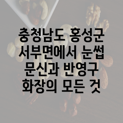 충청남도 홍성군 서부면에서 눈썹 문신과 반영구 화장의 모든 것