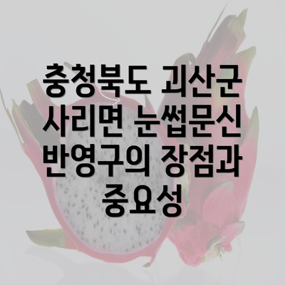 충청북도 괴산군 사리면 눈썹문신 반영구의 장점과 중요성