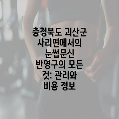 충청북도 괴산군 사리면에서의 눈썹문신 반영구의 모든 것: 관리와 비용 정보