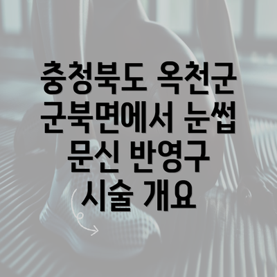 충청북도 옥천군 군북면에서 눈썹 문신 반영구 시술 개요