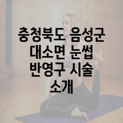 충청북도 음성군 대소면 눈썹 반영구 시술 소개