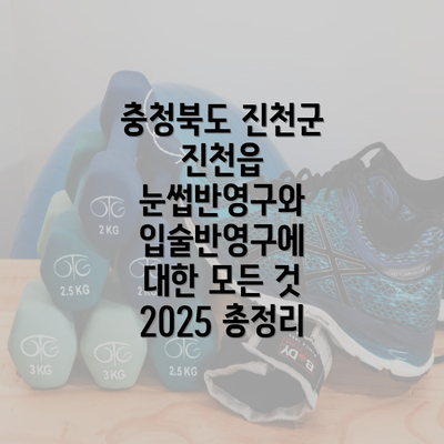 충청북도 진천군 진천읍 눈썹반영구와 입술반영구에 대한 모든 것 2025 총정리