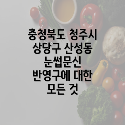 충청북도 청주시 상당구 산성동 눈썹문신 반영구에 대한 모든 것