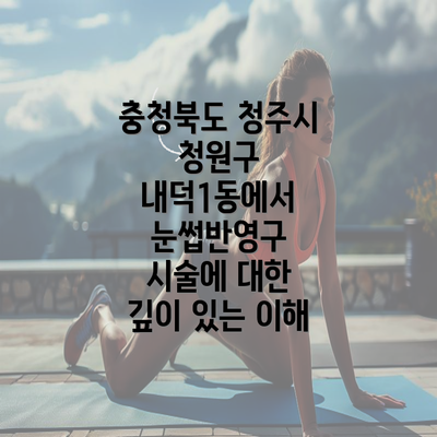 충청북도 청주시 청원구 내덕1동에서 눈썹반영구 시술에 대한 깊이 있는 이해