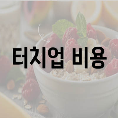 터치업 비용