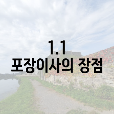 1.1 포장이사의 장점