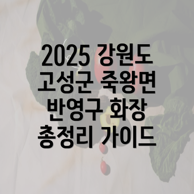 2025 강원도 고성군 죽왕면 반영구 화장 총정리 가이드