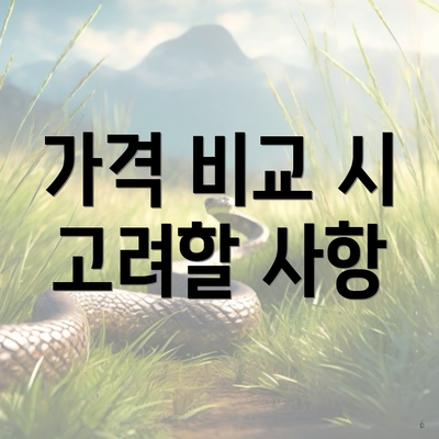 가격 비교 시 고려할 사항