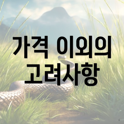 가격 이외의 고려사항