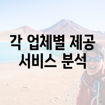 각 업체별 제공 서비스 분석